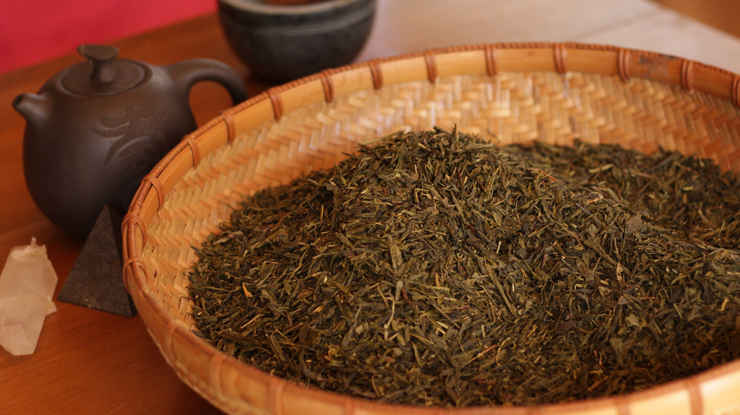 Sencha