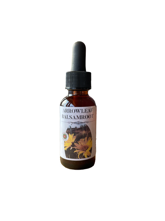Arrowleaf Balsam Root