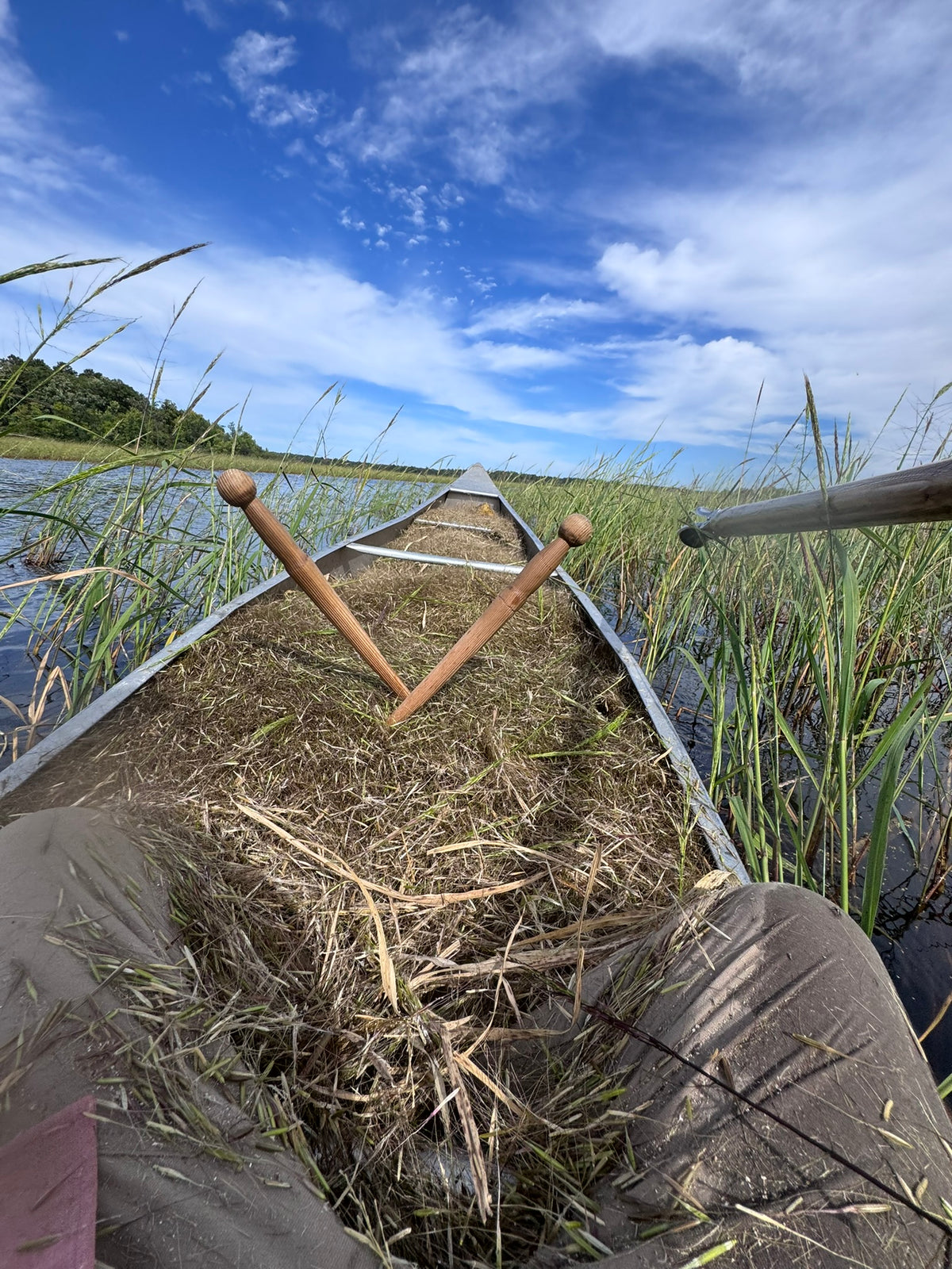 Wild Rice ~ Manoomin