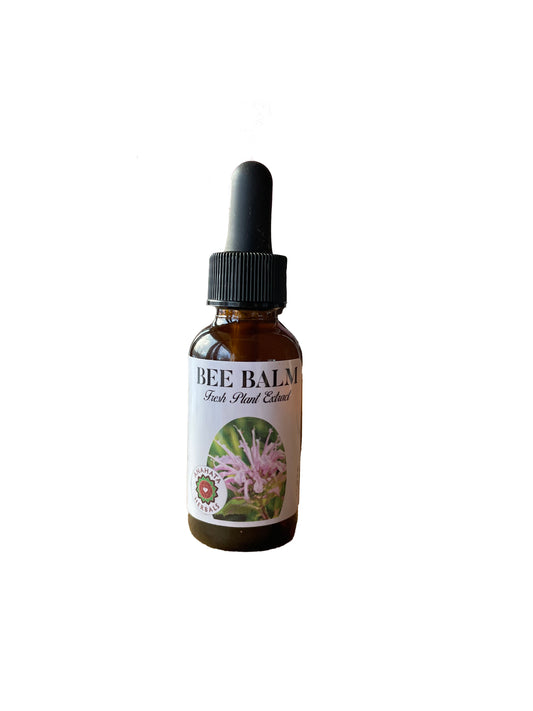 Bee Balm Glycerite