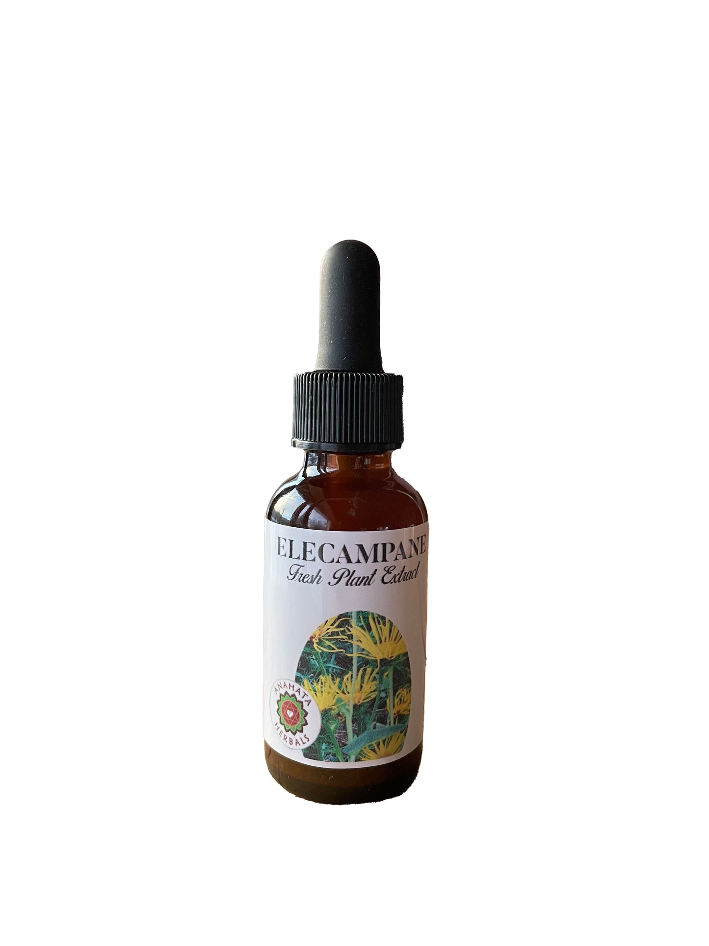 Elecampane Glycerite