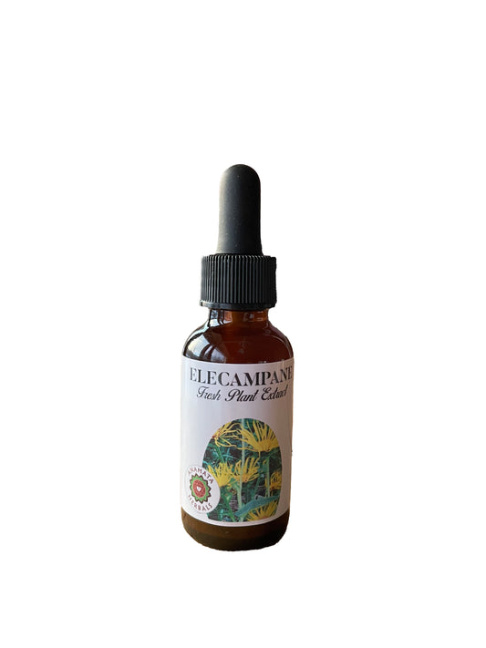 Elecampane Glycerite