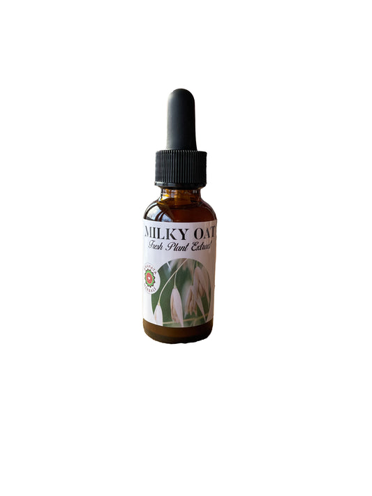Milky Oat Extract