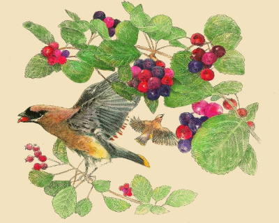 ~Reciprocity Basket~ MONTHLY HIGHLIGHT